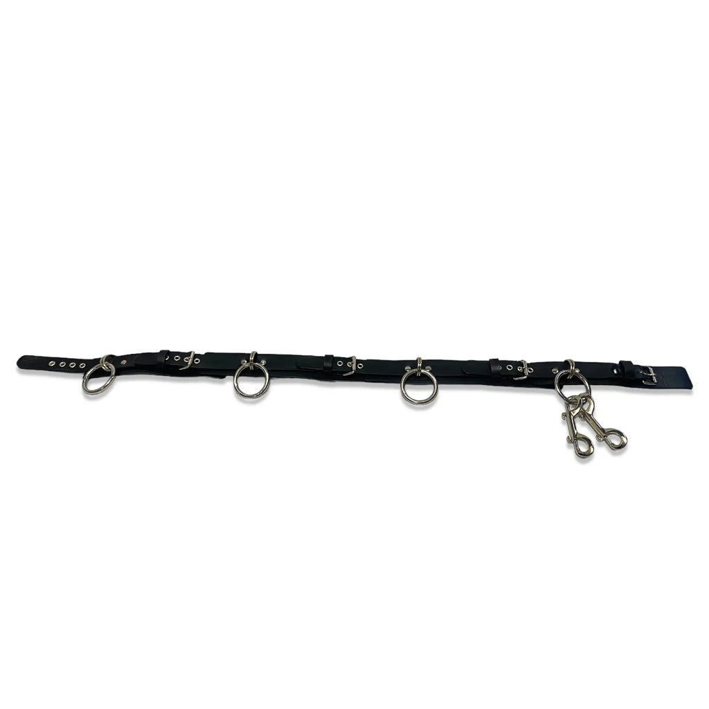 Sid's Bondage Belt1